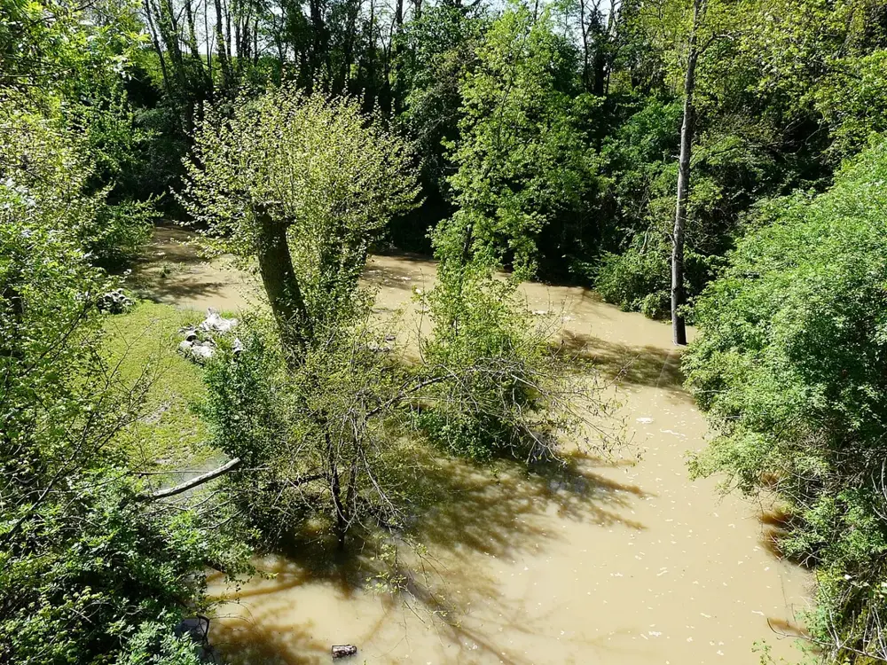 Gardonnette pont D936 amont