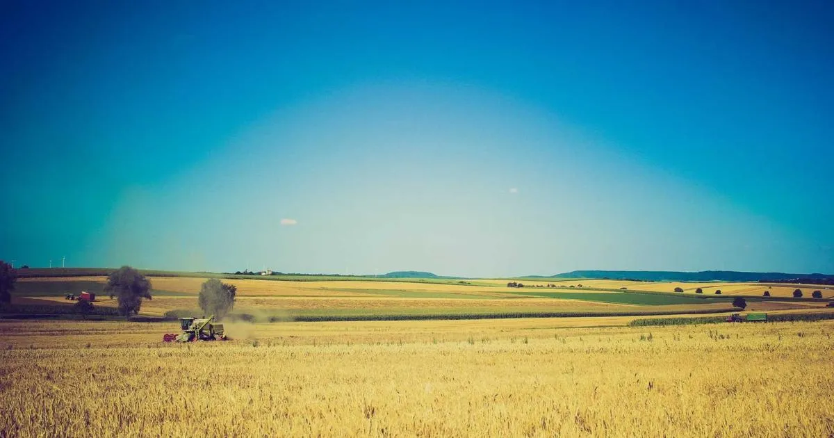 Découvrez les incroyables fêtes des produits du terroir en France en 2025
