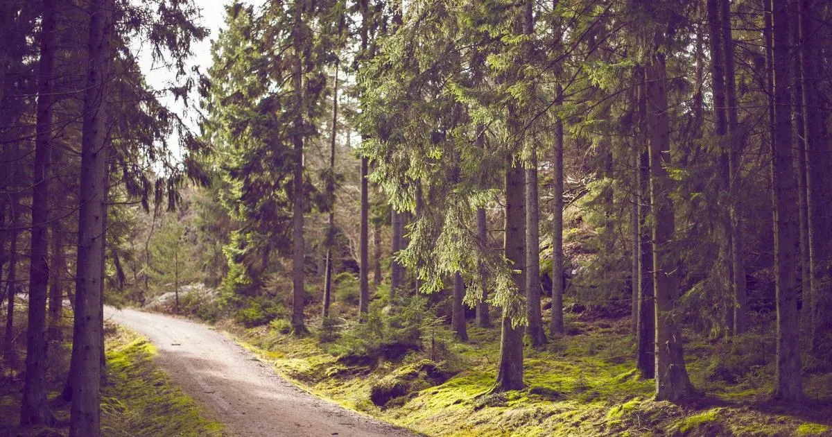 Le mystère du puits de Bontemps : une plongée dans l histoire souterraine de la Dordogne
