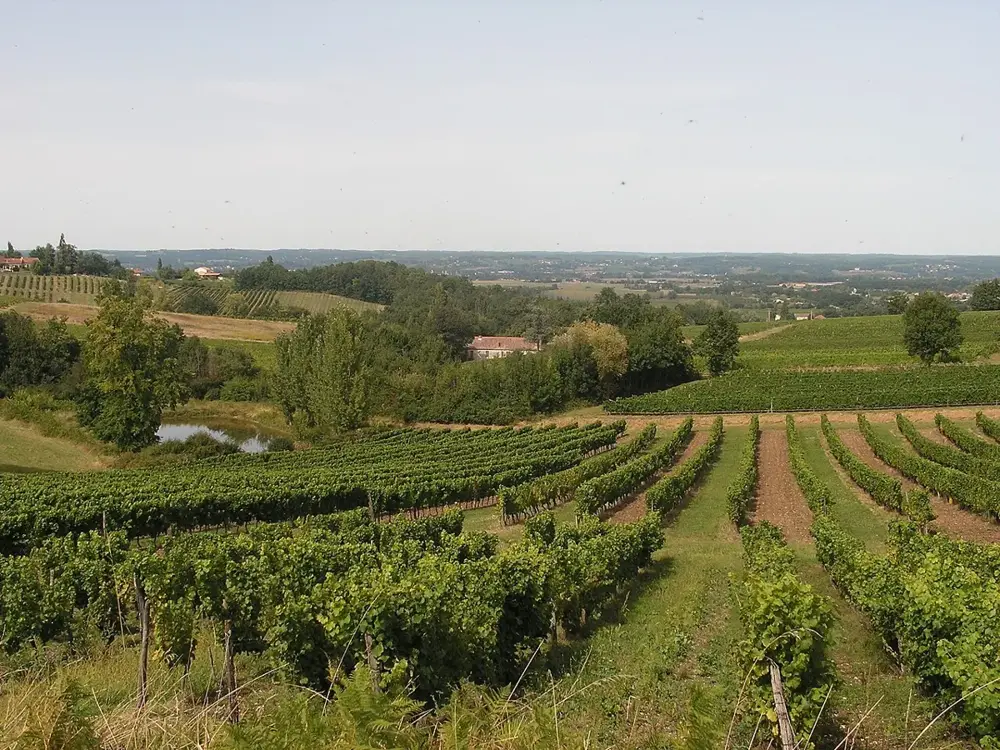 Vue de Monbazillac