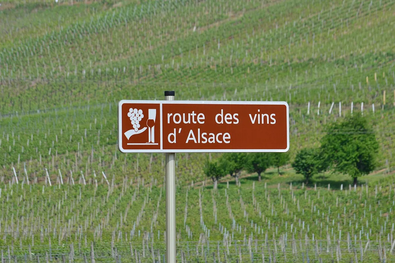 Route des vins serpentant à travers le vignoble bergeracois