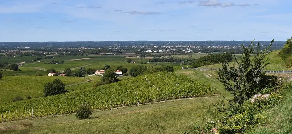 Bergerac - Panorama depuis les hauteurs de Monbazillac
